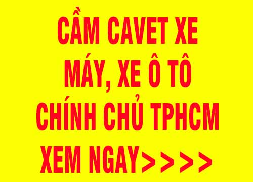 cam giay to xe may - oto